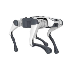 Deep Robotics Lite3 Basic Quadruped Robot