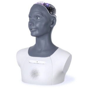 Engineered Arts Ami Desktop Social Humanoid Robot